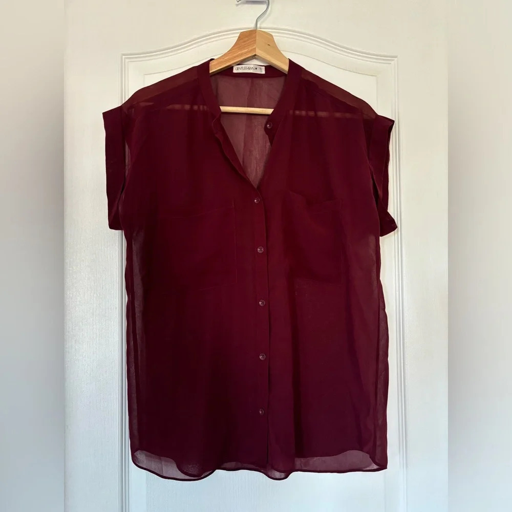 GENTLE FAWN  Sheer Blouse